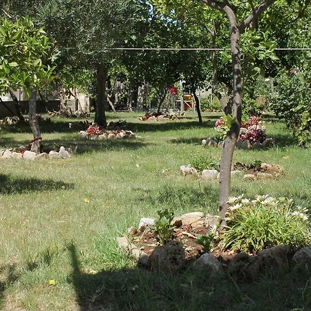 Studio 3589l Apartman Sucuraj